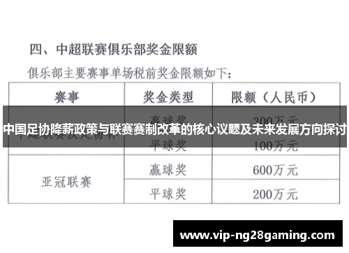 中国足协降薪政策与联赛赛制改革的核心议题及未来发展方向探讨