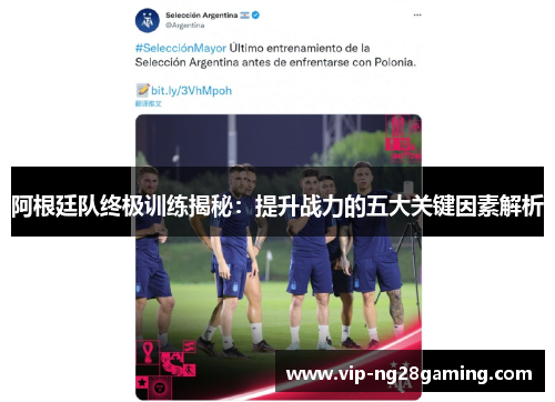 阿根廷队终极训练揭秘：提升战力的五大关键因素解析