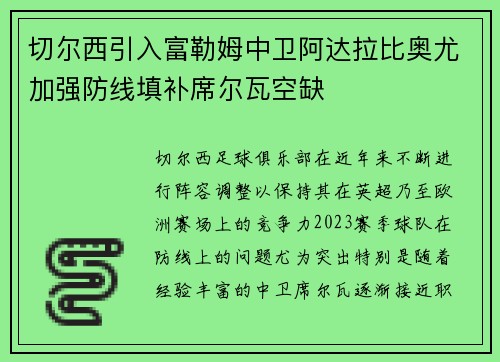 切尔西引入富勒姆中卫阿达拉比奥尤加强防线填补席尔瓦空缺 切尔西引入富勒姆中卫阿达拉比奥尤加强防线填补席尔瓦空缺