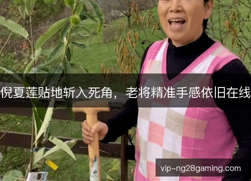 倪夏莲贴地斩入死角,老将精准手感依旧在线 倪夏莲贴地斩入死角,老将精准手感依旧在线